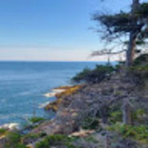 Meet your Posher, Live life